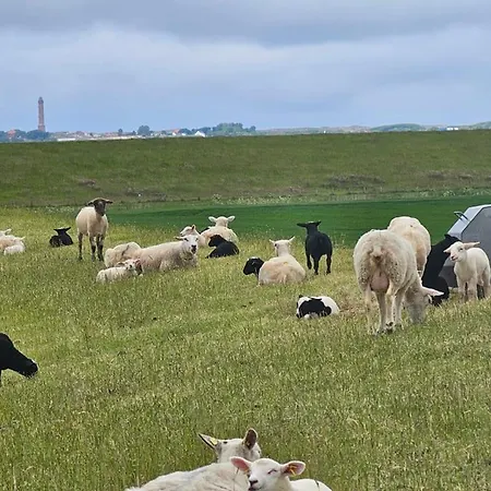 Apartamento Lüttje Mööv Norddeich
